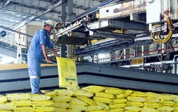 Chủ động nguồn cung để hạn chế tác động từ giá phân bón tăng