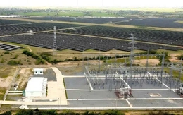 Truy tố cựu Phó cục trưởng Cục Thuế Ninh Thuận cũ vì 'cất' hồ sơ truy thu 73 tỉ đồng