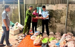 Thu giữ 4 tấn thực phẩm không rõ nguồn gốc ở Thanh Hóa
