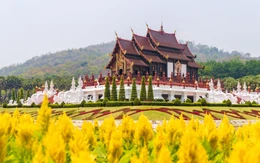Hành trình sống chậm Chiang Mai - Lamphun - Lampang