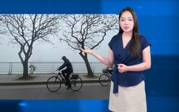 Thời tiết đêm 2 ngày 3-3: Bắc Bộ trời chuyển lạnh, có sương mù; Trung Bộ và Nam Bộ mưa rào