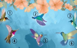 Quiz: Bạn cực kỳ quyết đoán hay là người sống kín đáo?