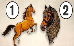 Quiz: Yếu tố gây ra cơn tức giận của bạn là gì?