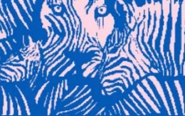 Quiz: Bạn là người hướng ngoại?