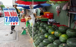 Cam sành, dưa hấu, thanh long, xoài... rớt giá thê thảm, điểm bán đổ thành đống
