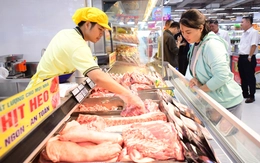 Sẽ giao một đầu mối quản lý an toàn thực phẩm, phải kiểm soát từ gốc