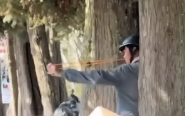 Công an tìm người bắn chim giữa phố Đà Lạt, giật điện thoại và có hành vi hành hung phóng viên