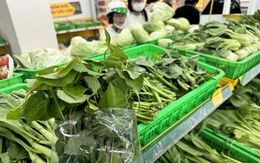 Bạn cần bao nhiêu chất xơ mỗi ngày?