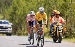 Cúp truyền hình TP.HCM 2026 chào đón hàng loạt tân binh nước ngoài chất lượng