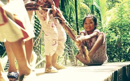 Cây cau như dáng bà, dáng mẹ lặng thầm mong ngóng những đứa con xa