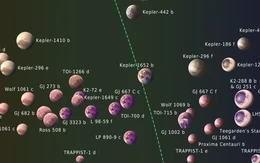 Khoa học 'khoanh vùng' gần 50 hành tinh có khả năng tồn tại sự sống