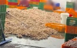 Cơ sở đồ ăn vặt Trung Quốc ngâm chân gà bằng hóa chất, dư luận phẫn nộ