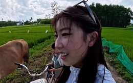 Khi bạn mới học tiếng Việt mà gặp rank cao thủ