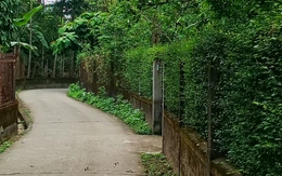 Mùa xuân về Huế, thong dong ở làng Thủy Biều cổ xưa