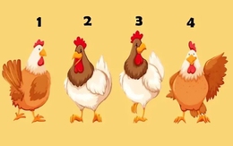 Quiz: Người khác đang nhìn nhận bạn như thế nào?