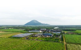 Công ty hạt nhân Tập đoàn TTC đăng ký bán ra hơn 43 triệu cổ phiếu SBT