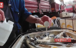 Trung Quốc: Phát hiện nhiều thương lái dùng hóa chất cho cá 'ngủ' khi vận chuyển