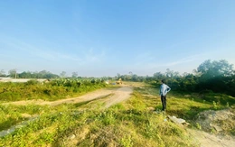 Cầu Quảng Đà chưa đi lại được vì thiếu đường dẫn, Đà Nẵng thúc tiến độ