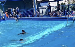 Phụ huynh bức xúc với phí cấp chứng nhận học bơi, trường nói gì?