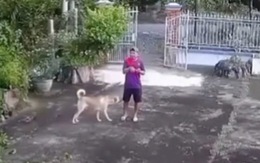'Anh cứ đứng im, chó nhà em ngoan lắm không cắn đâu'