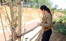 Thêm dự án hạ cốt nền ở Đồng Nai khiến nhà dân 'cheo leo' trên đỉnh đồi