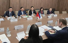 Việt Nam đề xuất hợp tác trồng lúa tại Nga