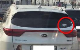 Vì sao 'oppa Hàn' dán hình ma lên cửa kính ô tô?