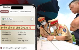 Những lỗi giao thông khiến tài xế bị trừ gần hết 12 điểm giấy phép lái xe theo Nghị định 168