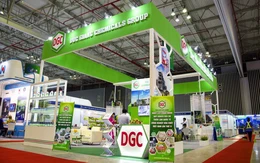 Hóa chất Đức Giang bất ngờ xanh sau 2 phiên, nhà đầu tư có nên bắt đáy?