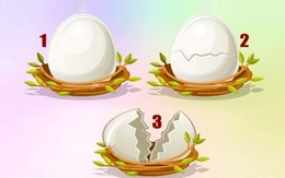 Quiz: Bạn sống tình cảm hay là người thông minh?