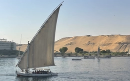 Xuôi sông Nile mà nhớ Việt Nam