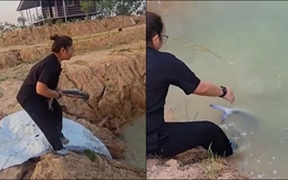 Cô gái thả cá xuống ao đi vào lòng đất