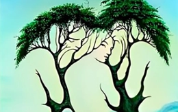 Quiz: Bạn tự tin hay là người lý trí, có tổ chức?