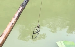 Thanh niên câu cá bằng bẫy kẹp chuột