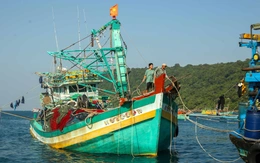 Đề xuất phạt tới 1 tỉ đồng nếu che giấu, giả mạo chứng cứ khai thác thủy sản bất hợp pháp