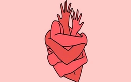 Quiz: Bạn có trách nhiệm cao hay là người sống chân thành?