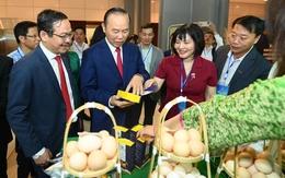 Xây dựng thương hiệu bò H’Mông thành đặc sản như Hanwoo của Hàn Quốc