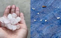 Video mưa đá lộp bộp trên mái nhà chiều nay tại Nghệ An