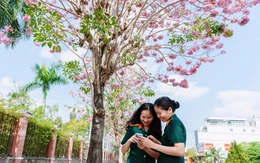 Sắc hồng kèn hồng tô thắm doanh trại