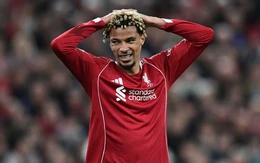 Liverpool thua sốc đội chót bảng