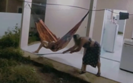 Bị vợ troll, chồng hú hồn chạy thẳng vào nhà vì tưởng ma