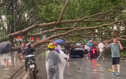 Video mưa dông, mưa đá trút xuống Hà Nội và Lào Cai, nhiều nhà cửa, tài sản hư hỏng