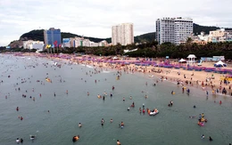 TP.HCM giao nhiệm vụ chủ đầu tư metro Vũng Tàu - Bà Rịa - Phú Mỹ