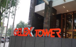 Đại hội đồng cổ đông thường niên GELEX năm nay có gì đáng chú ý?