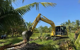 Cưỡng chế thu hồi gần 1ha đất ở Phú Quốc