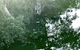 Đi đốn buồng chuối, người đàn ông phát hiện xác chết mất bàn chân phải trôi trên kênh