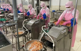 Giá tôm giảm mạnh, nông dân lo nuôi không có lời