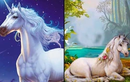 Quiz: Bạn biết cách mang niềm vui cho người khác?