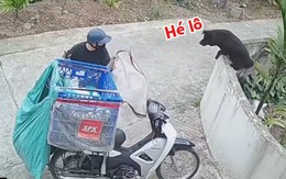 Shipper chạy té khói vì được 'Cậu Vàng' của chủ nhà chào hỏi quá nhiệt tình