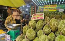 Giá sầu riêng neo cao, bất ngờ với hàng 'VIP' Musang King